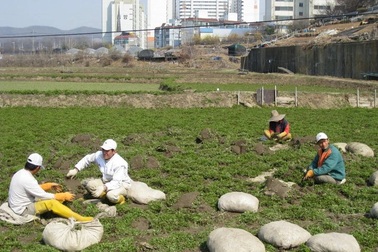 Giảm nghèo bền vững nhờ xuất khẩu lao động