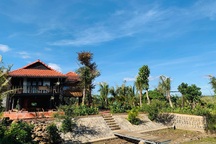 Mua lại nhà sàn cũ, gia đình ở Tây Nguyên làm nhà vườn 3.000m2 tuyệt đẹp