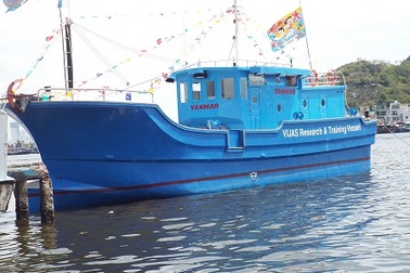 Câu cá ngừ công nghệ Nhật Bản - hướng đi mới cho ngư dân Việt Nam