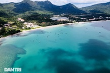 Việt Nam thay thế vị trí Thái Lan trở thành điểm đến trăng mật hoàn hảo