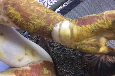 Cảnh cáo người gây tai nạn vụ nữ sinh bị bỏng cồn trong phòng thực hành Hóa