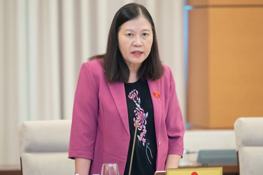 Vụ cháy chung cư mini ở Hà Nội: "Mất bò mới lo làm chuồng"