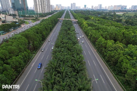 "Tai nạn xảy ra do con người, sao loại bỏ cây trên dải phân cách cao tốc?"