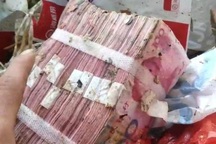 Thuận tay vứt 800 triệu đồng vào túi giấy, cặp đôi đào 4 tấn rác để tìm lại