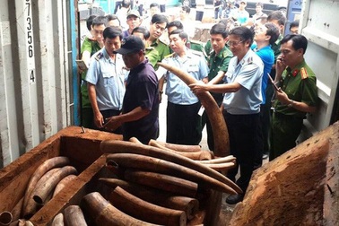 Động vật hoang dã trà trộn trong nông sản Việt xuất sang Trung Quốc