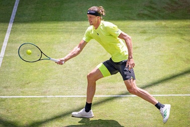 Medvedev, Zverev hẹn quyết đấu Sinner ở Halle Open 2025