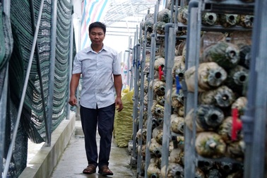 Ngã rẽ nghề nghiệp bất ngờ và thành công từ lời hứa với người cha quá cố