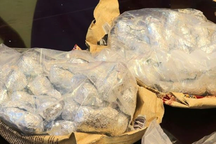 Phát hiện hơn 20kg ma túy vận chuyển qua đường hàng không