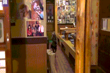 Khỉ làm việc như người ở nhà hàng Nhật Bản