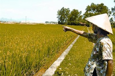 Không được lấy đất lúa làm sân golf