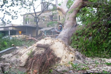 Quảng Trị: 37 người bị thương, hơn 11.000 nhà hư hỏng sau bão