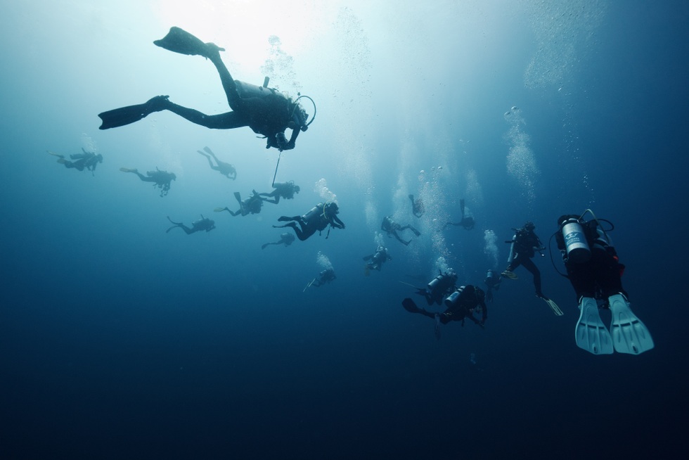 Khách Việt chi 50 triệu đồng và hành trình săn cá mập khát máu ở Maldives - 1 Khách Việt chi 50 triệu đồng và hành trình săn cá mập khát máu ở Maldives - 1