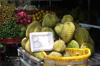Sầu riêng miền Tây rớt giá còn 20.000 đồng/kg, nhà vườn điêu đứng