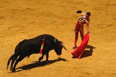 Tất tật cho chuyến du lịch đến “xứ sở bò tót”