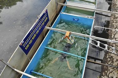 TPHCM chưa vội chọn công nghệ xử lý nước như ở sông Tô Lịch