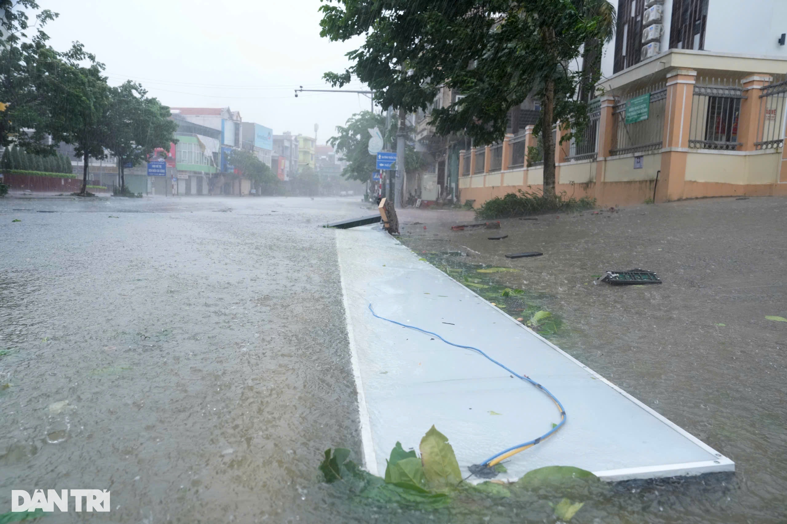 View - Trước giờ bão Yagi đổ bộ Quảng Ninh: Cây xanh gẫy đổ, tôn bay la liệt | Báo Dân trí