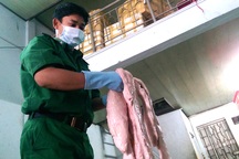 Nầm heo thối, thịt bẩn “ồ ạt” tuồn về TP.HCM