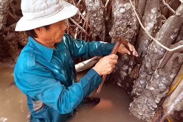 Nghề săn đặc sản kiếm tiền mưu sinh