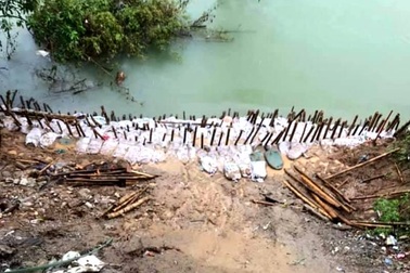 Bão số 7 khiến 2 đoạn đê biển sạt lở