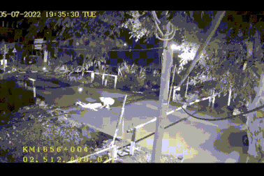 Nghẹt thở nhân viên gác chắn cứu người thoát chết trước mũi tàu