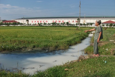 Doanh nghiệp xả thải bừa bãi, cả xã khốn đốn