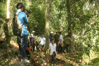 Sẽ kiểm tra toàn bộ diện tích rừng đặc dụng tại Võ Nhai