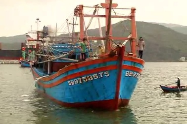 Bình Định: Thương lái ép giá cá ngừ đại dương