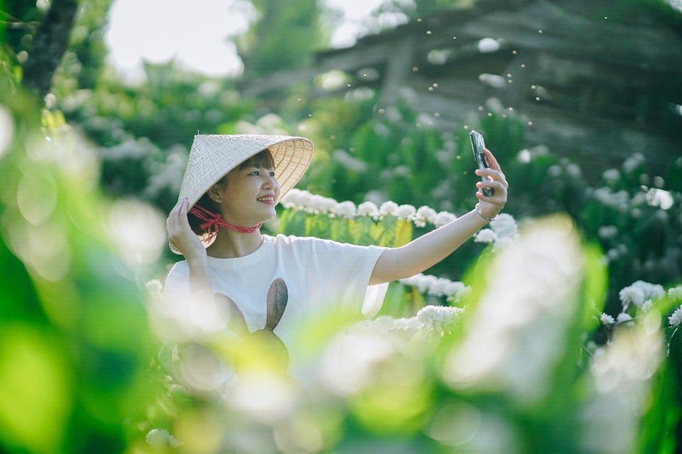 Tháng 2 về, hoa cà phê nở trắng núi rừng Tây Nguyên đẹp như cổ tích - 3