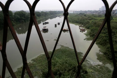 "Khúc sông thối" dưới cầu Long Biên ô nhiễm nghiêm trọng