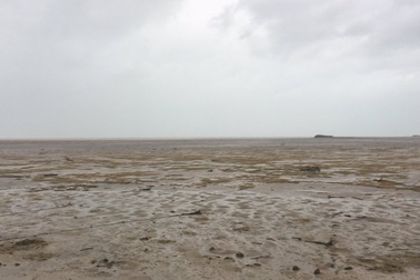 Hy hữu siêu bão Irma "hút cạn" nước biển ở Bahamas