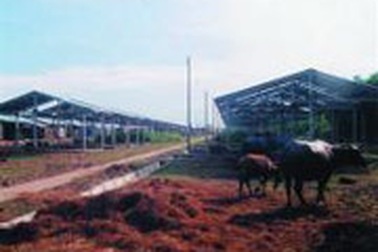 Miễn thuế tài nguyên với đất các công trình vượt lũ