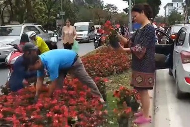 Người dân tranh nhau “hôi hoa”: Giành cái đẹp bằng hành động xấu xí?