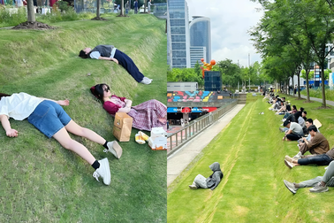 Giới trẻ dành 20 phút tắm nắng ở công viên để "chữa lành"