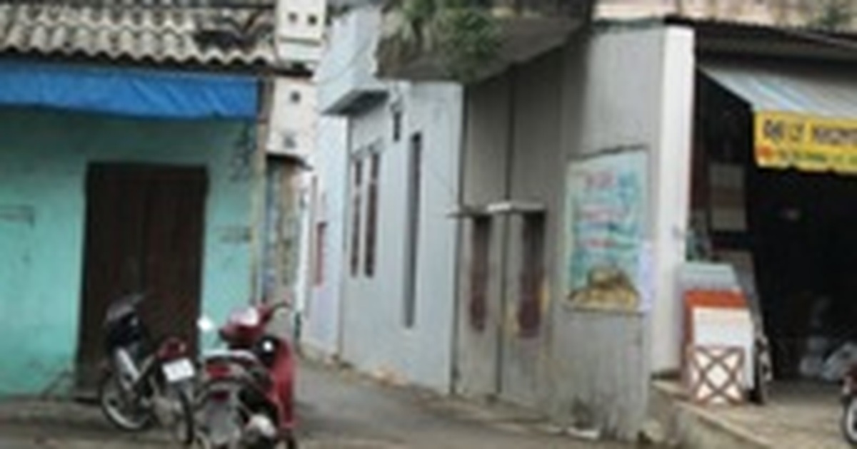 dantri.com.vn