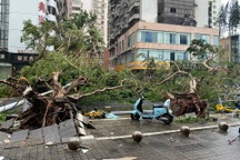 Những hình ảnh trong và sau khi siêu bão Yagi đổ bộ Trung Quốc