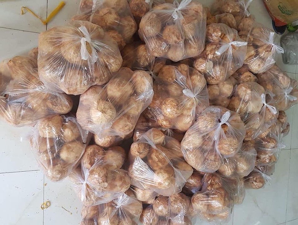 Ngày bán 5.000 quả dừa tí hon, hàng lạ gây sốt ngày nắng cháy - 3 Ngày bán 5.000 quả dừa tí hon, hàng lạ gây sốt ngày nắng cháy - 3