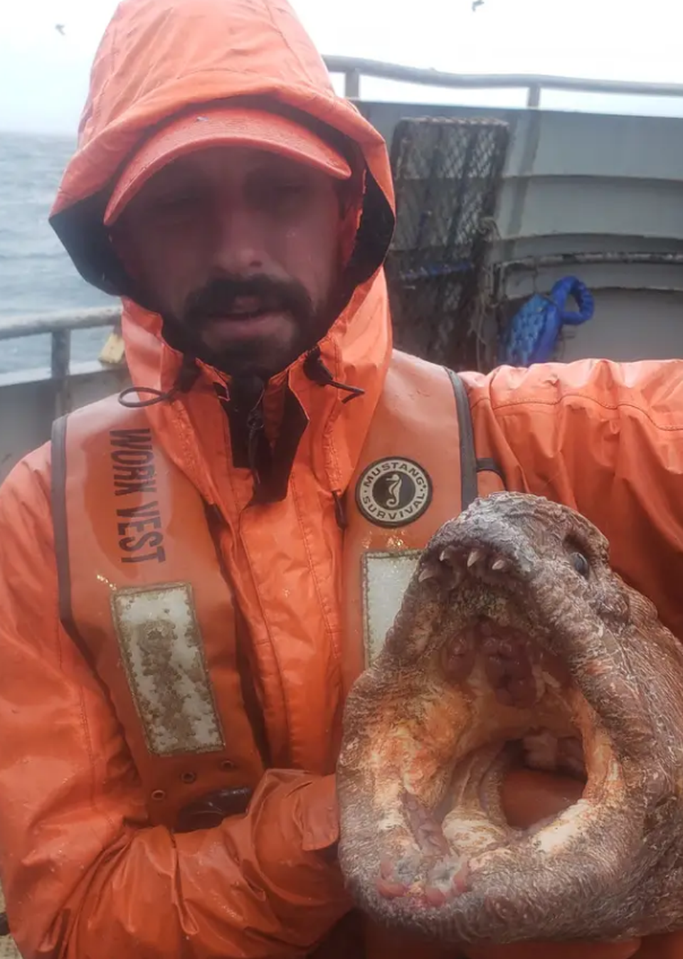 Bắt được quái vật biển miệng khổng lồ ở vùng biển Alaska - 4 Bắt được quái vật biển miệng khổng lồ ở vùng biển Alaska - 4