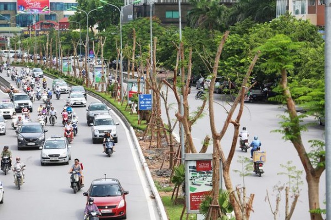 Trồng cây xanh đô thị: Không thể tùy tiện - Ảnh 1. Trồng cây xanh đô thị: Không thể tùy tiện - Ảnh 1.