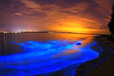 Những điều kỳ diệu của tự nhiên khiến bạn ngỡ ngàng