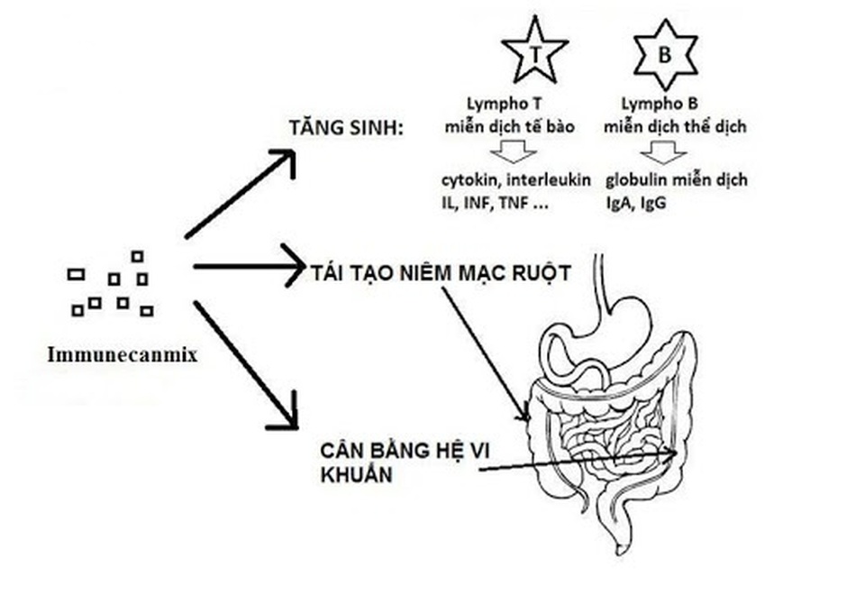 4 lý do mẹ chọn Lamikid I cùng con bước qua mùa dịch an toàn - 3 4 lý do mẹ chọn Lamikid I cùng con bước qua mùa dịch an toàn - 3
