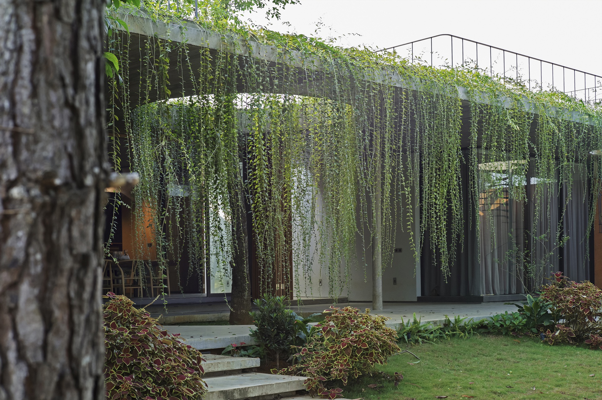 Biệt thự 4 phía sân vườn trên khu đất 5.000m2 của gia đình ở Hà Nội