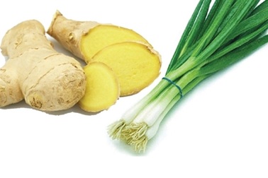 Thuốc nam trị một số bệnh mùa lạnh