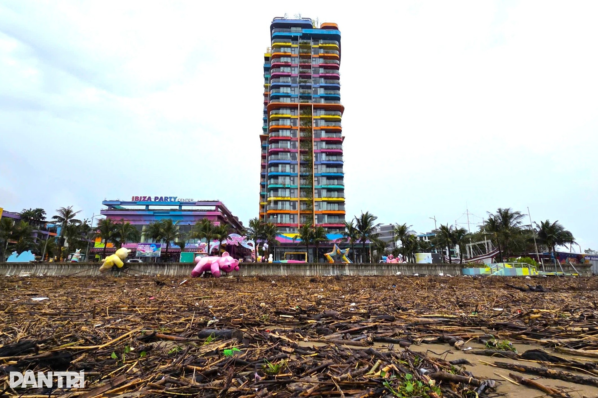 Bờ biển Hải Tiến như bãi chông sau bão Bualoi - 3 Bờ biển Hải Tiến như bãi chông sau bão Bualoi - 3