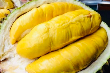 Tháng 9 về Đắk Lắk thưởng thức sầu riêng, ngắm khinh khí cầu