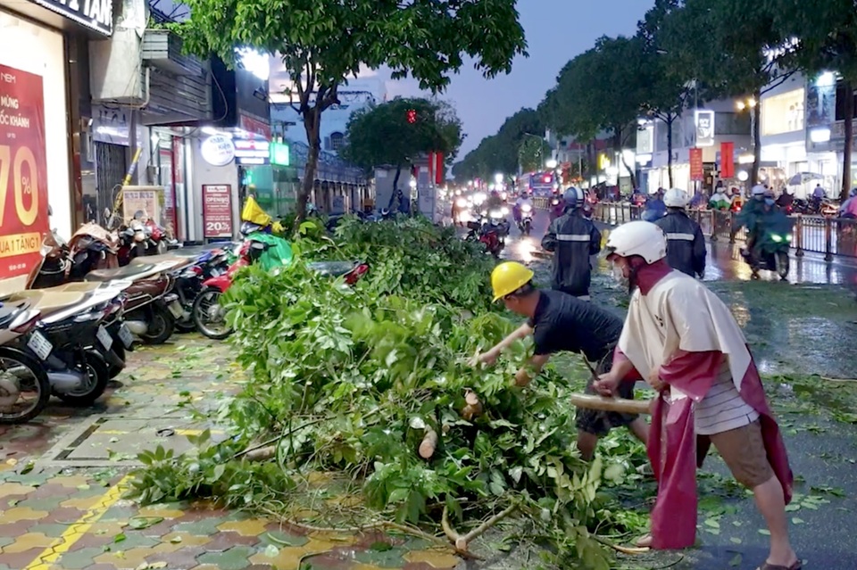 Cây đổ quật ngã 2 thanh niên trong cơn mưa - 1 Cây đổ quật ngã 2 thanh niên trong cơn mưa - 1