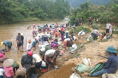 Người dân rầm rộ đi mót quặng thiếc