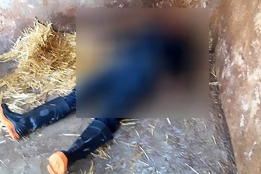 Nhân viên sở thú Mexico bị sư tử vồ chết vì quên khóa chuồng cẩn thận