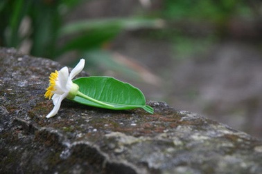 Nỗi niềm tháng ba