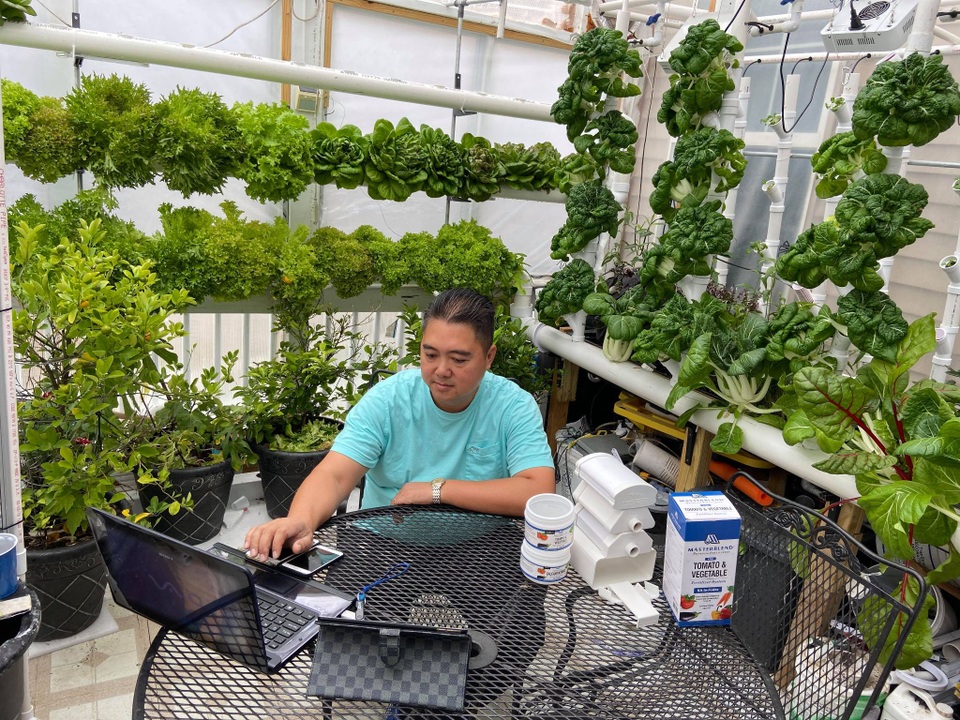 Mê mẩn vườn 20m2 ngập rau, trái của người đàn ông gốc Việt ở Mỹ - 1