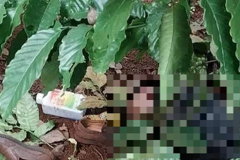 Nghi phạm sát hại người phụ nữ trong nhà nghỉ đã tử vong tại rẫy cà phê - 1